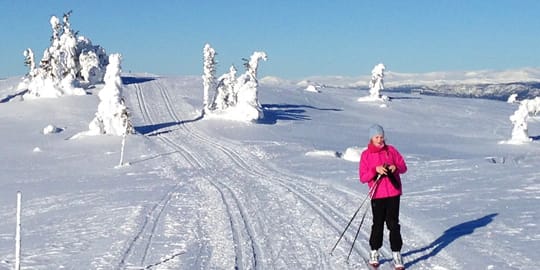 About Gålå
