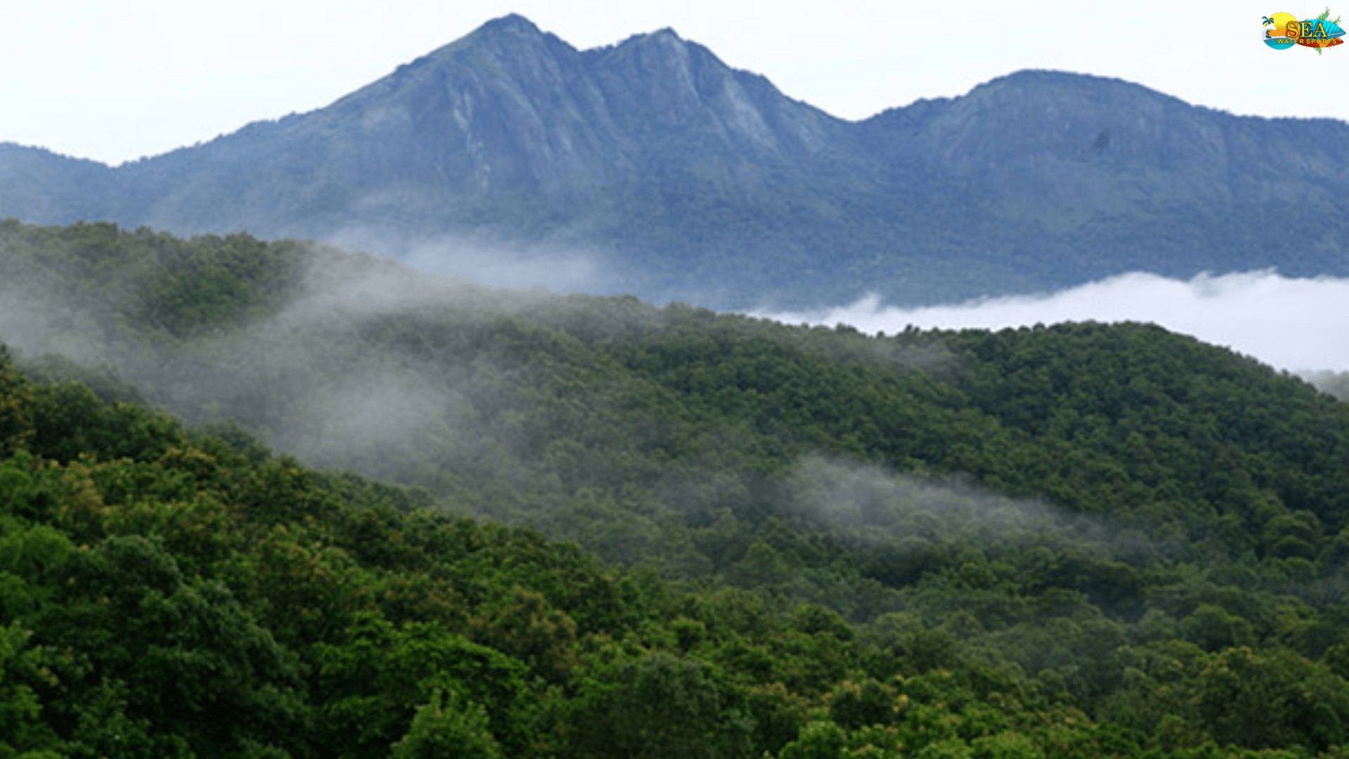 Silent Valley Forest Trekking Camp - Image 1