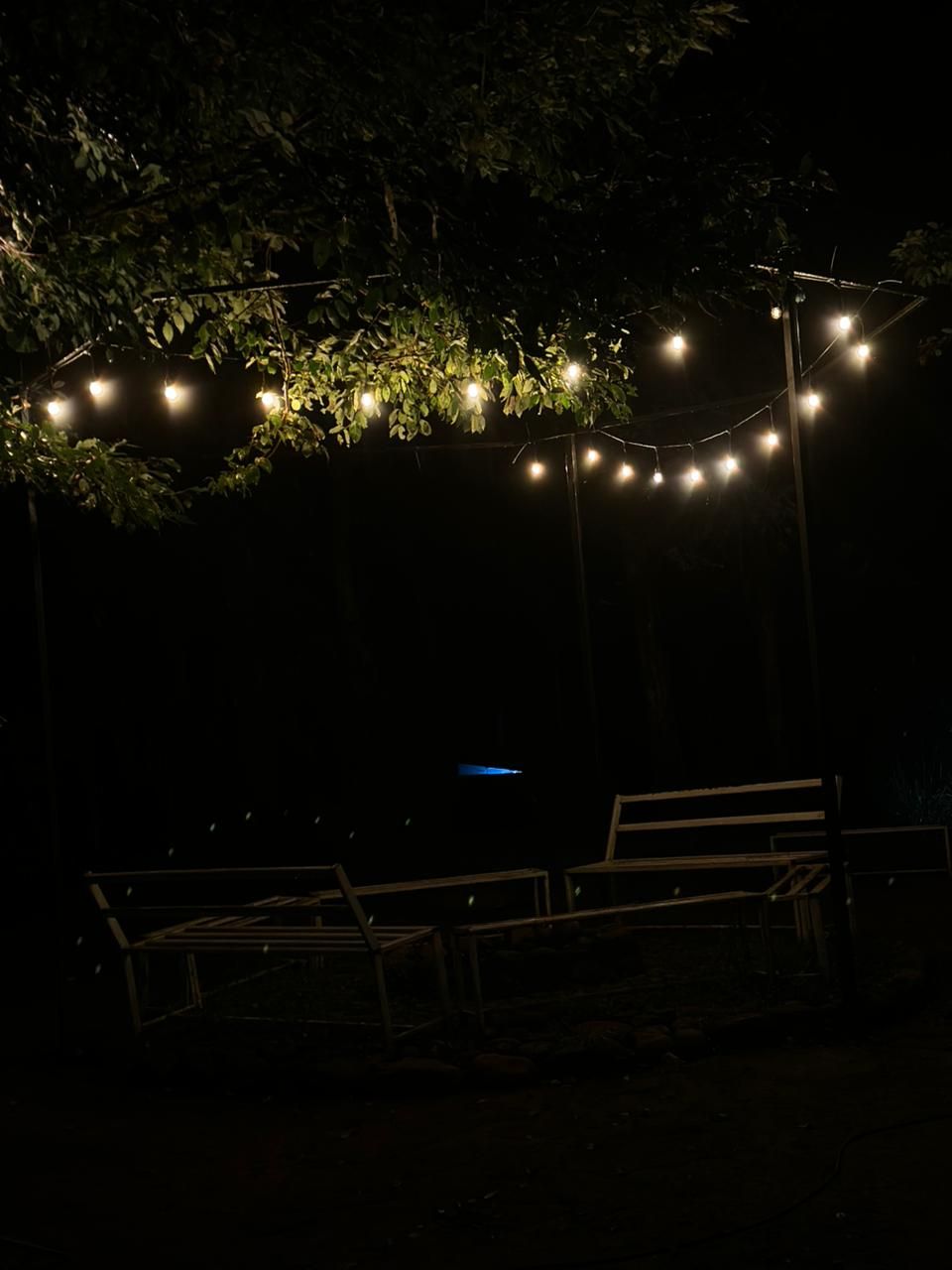 Camping @ 900 KANDI – Wayanad   - Image 4