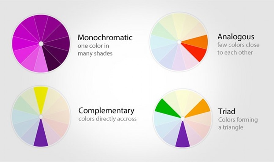 Branding Colors: Everything You Need to Choose Your Brand's Color Palette
