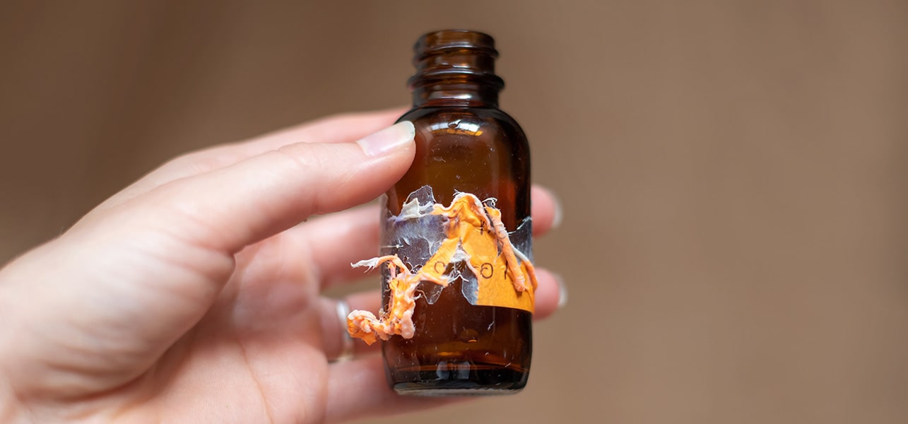 NPIB-6313-EditorialContent-Art01-Marquee-001