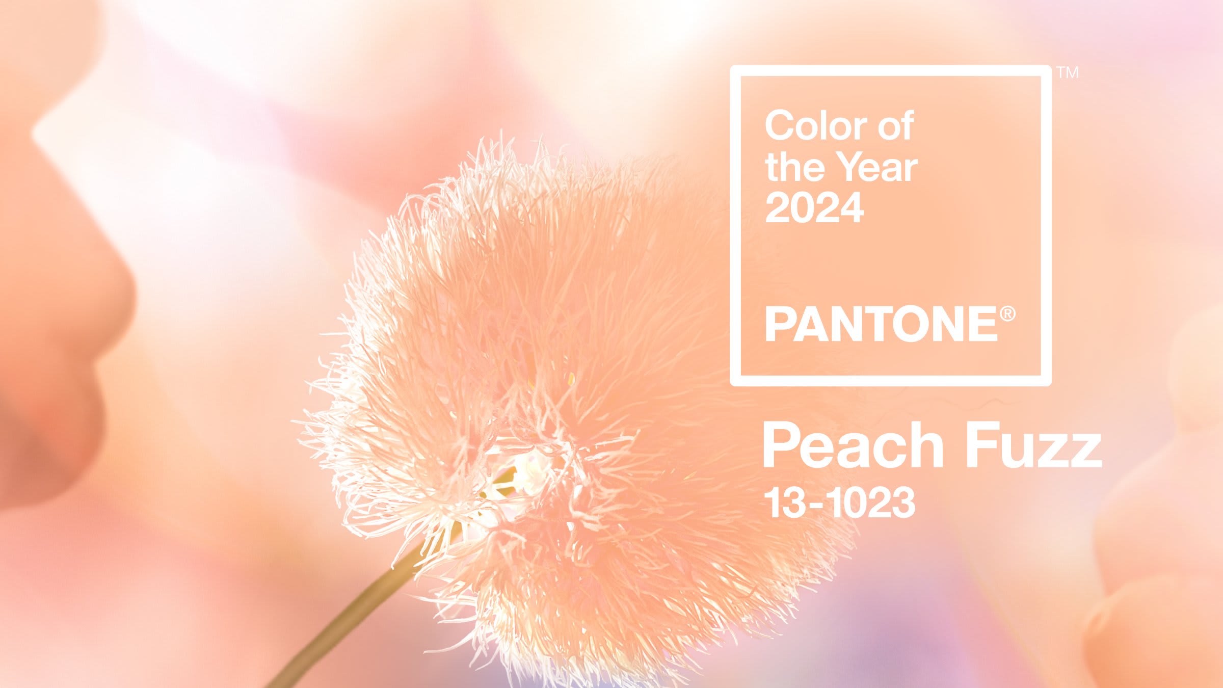 Peach Fuzz, Pantone Color of the Year 2024