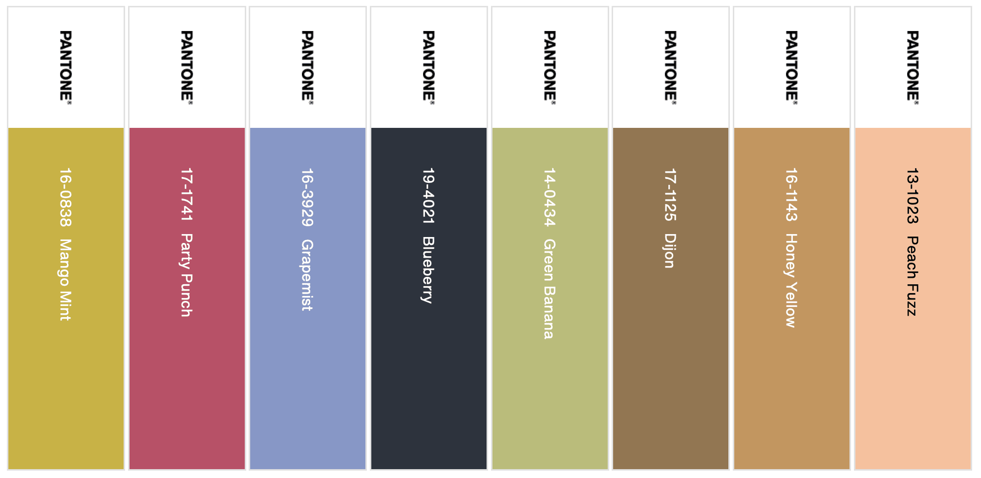 Flavor-Full 2024 Pantone Color Palette