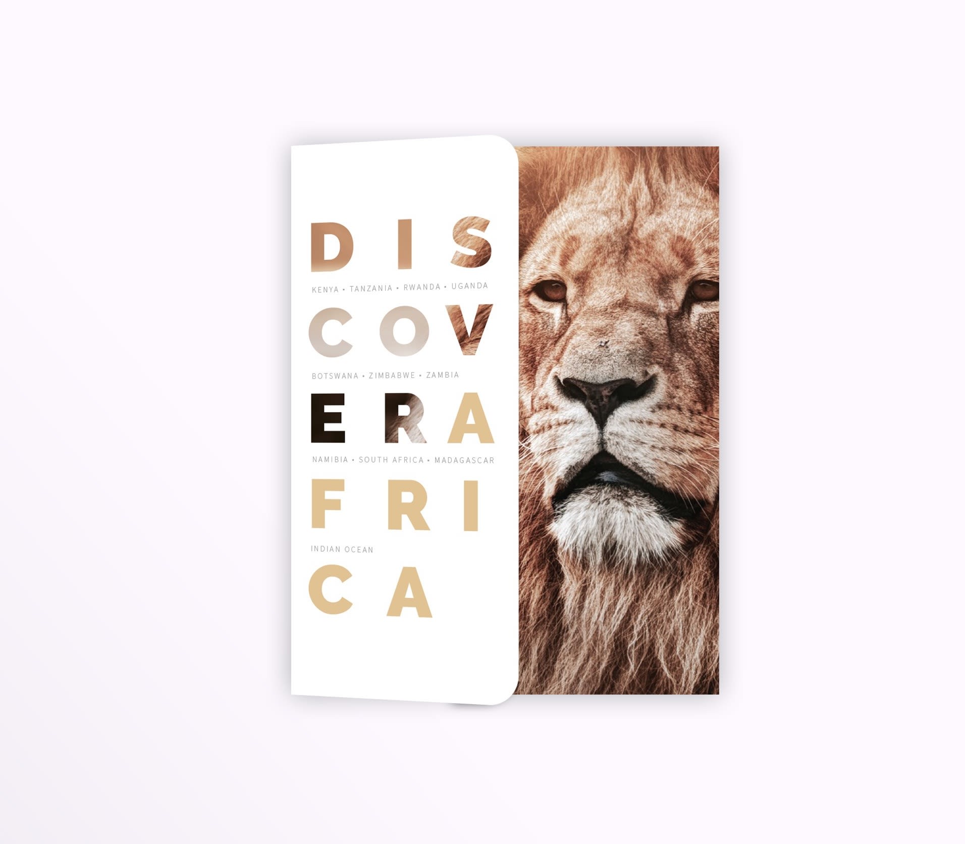 Discover Africa brochure