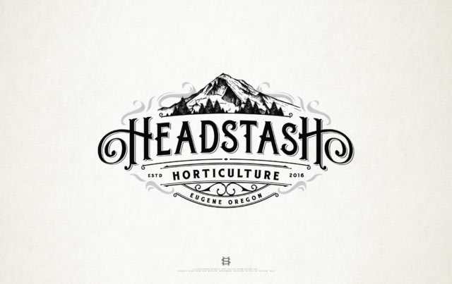 logo design for Headstash