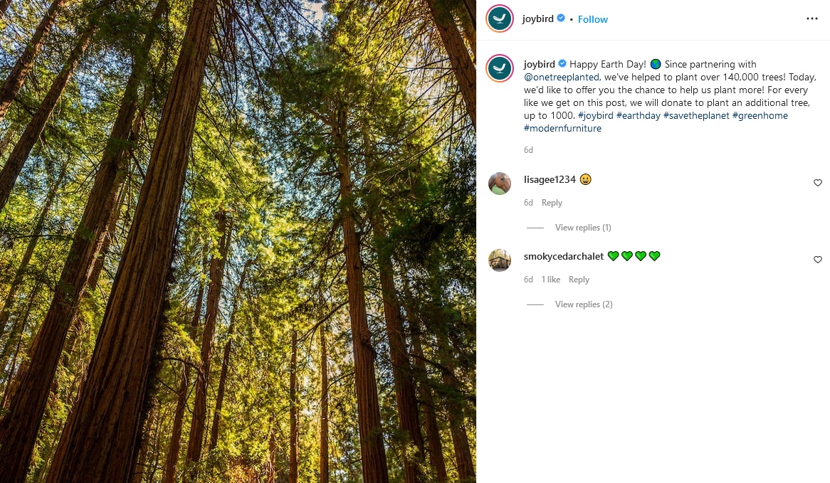 An image of tall trees in the forest