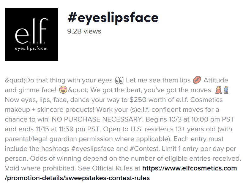 A screenshot of the mechanics for e.l.f.’s TikTok challenge