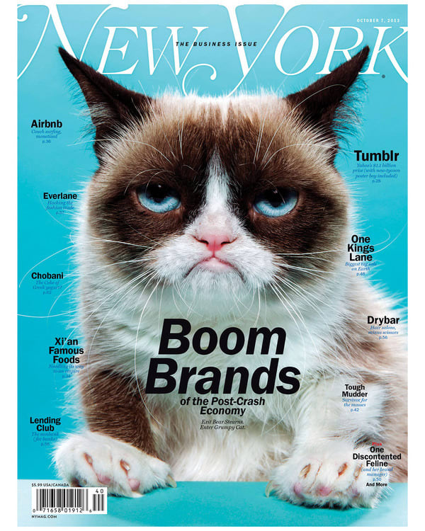 New York magazine cover featuring Grumpy Cat