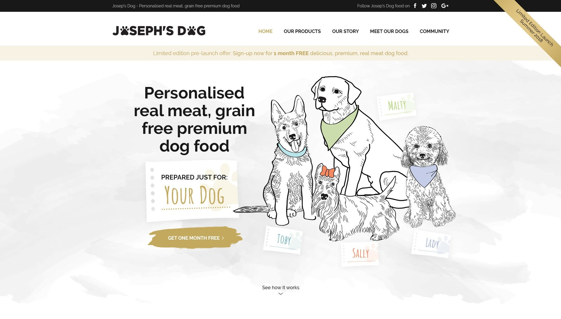 illustration style website design with dogs and dog food