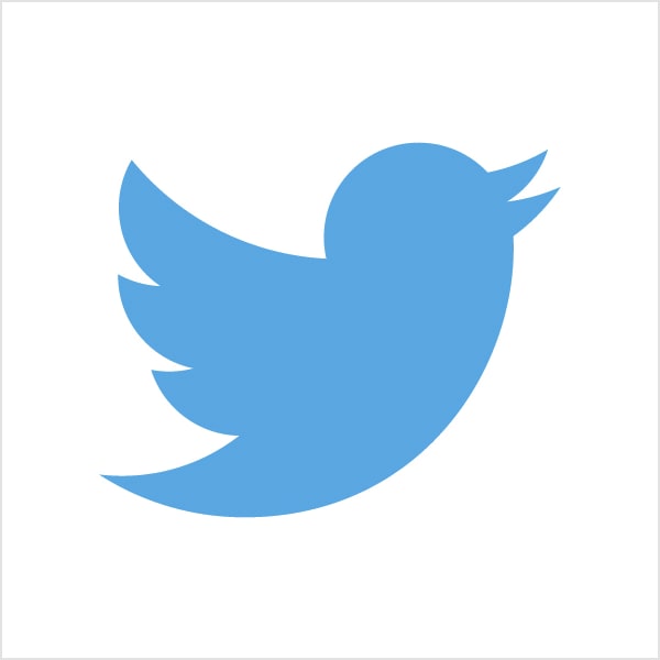 Twitter pictorial mark logo