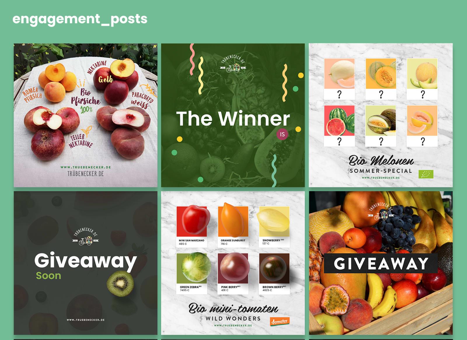 Various posts for a social media style guide