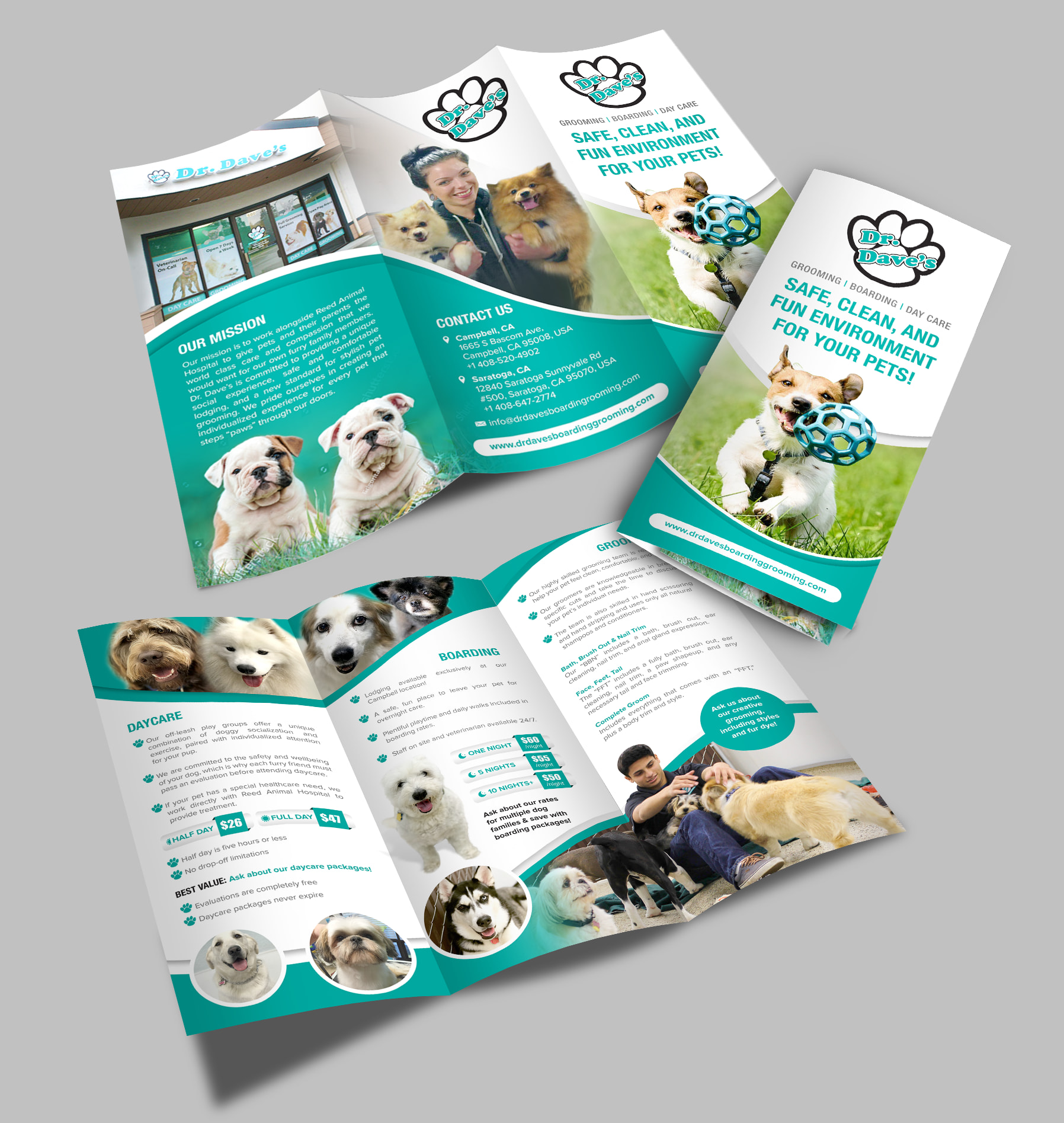 Tri-fold brochure advertising doggy day care