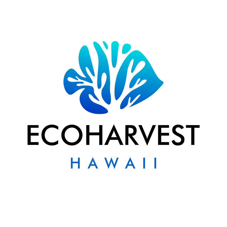 Logo color meaning: blue logo design for a travel company