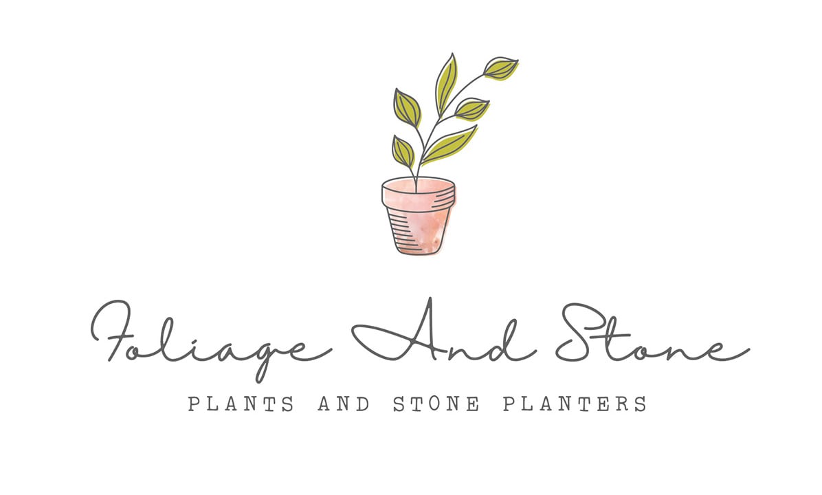 Design de logo minimaliste et naturel repr&eacute;sentant une plante en pot