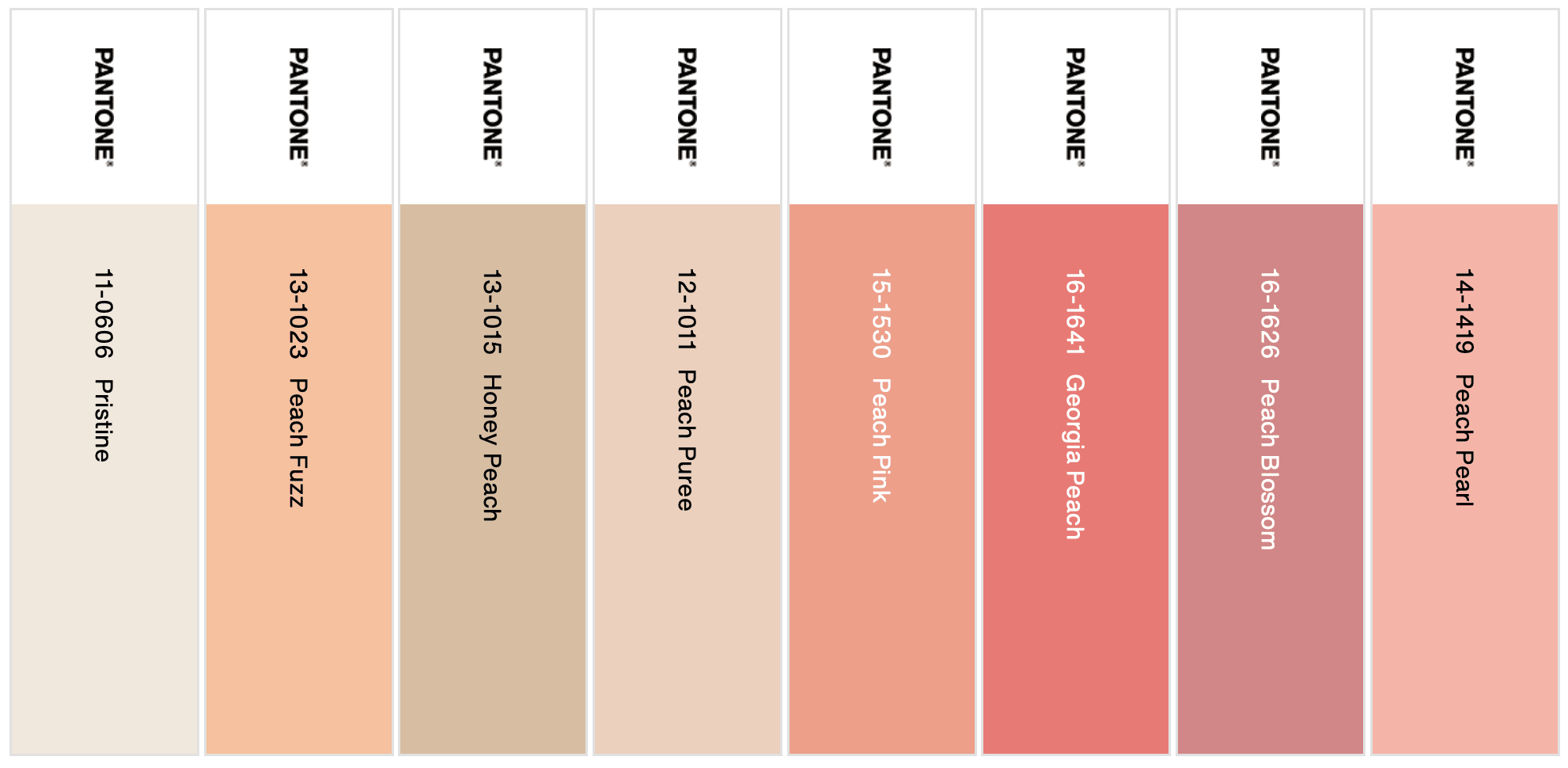 Peach Plethora 2024 Pantone Color of the Year Palette