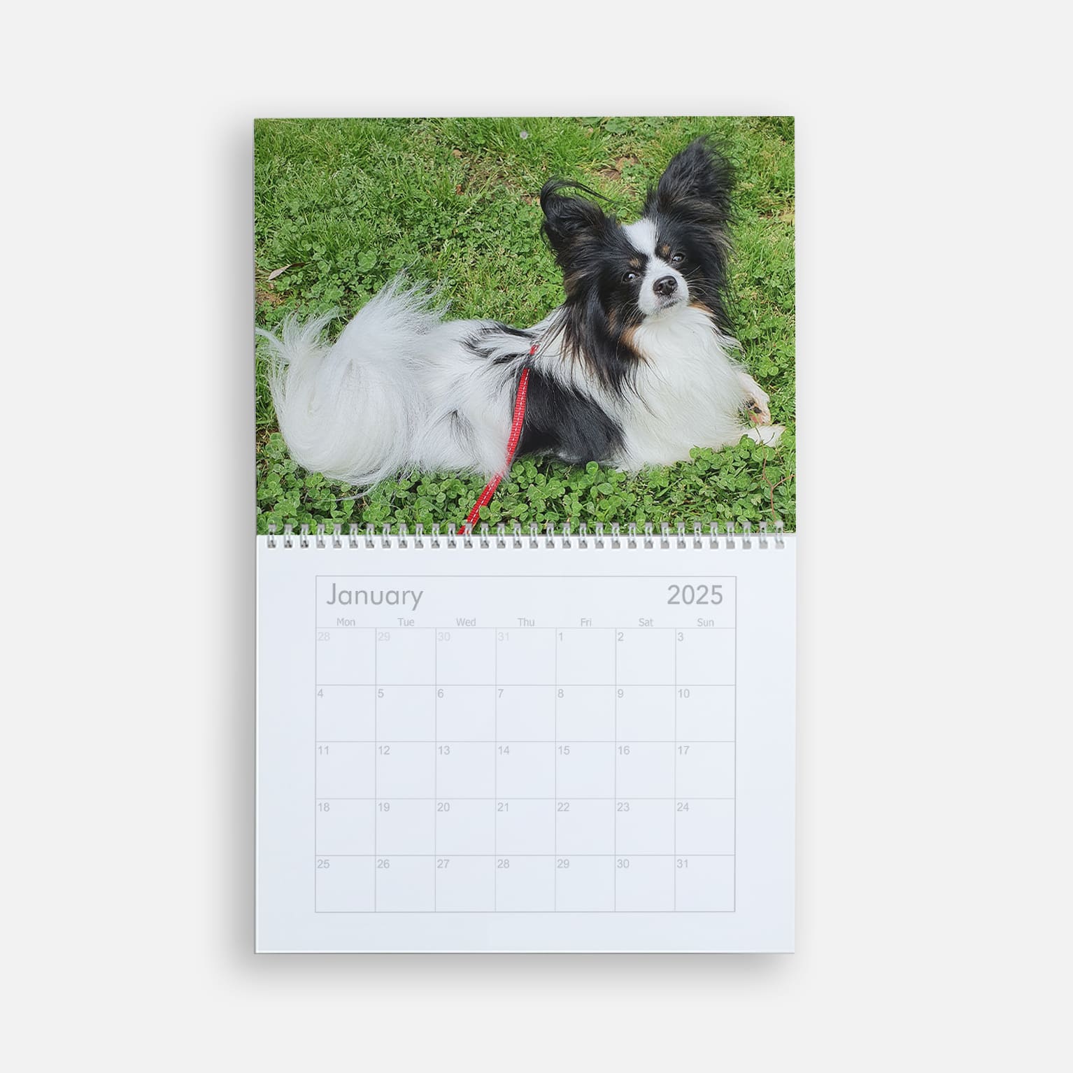 Custom calendar with a picture of a dog for January 2025