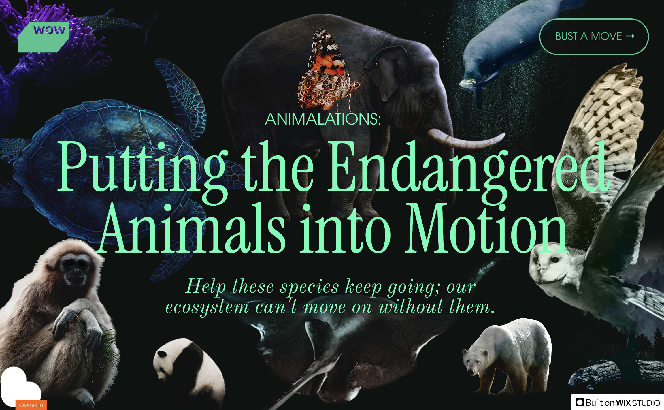 Telling the story and purpose of your website using scrollytelling web design trend