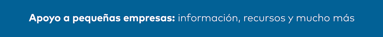 Apoyo a pequeñas empresas: información, recursos y mucho más
