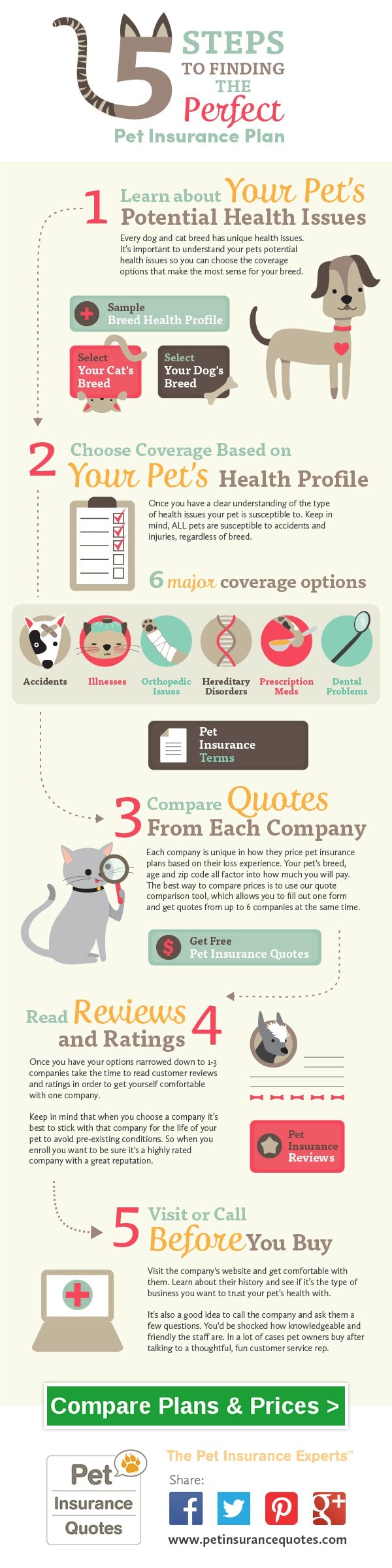 Process infographic example explaining the steps to finding a pet insurance plan.