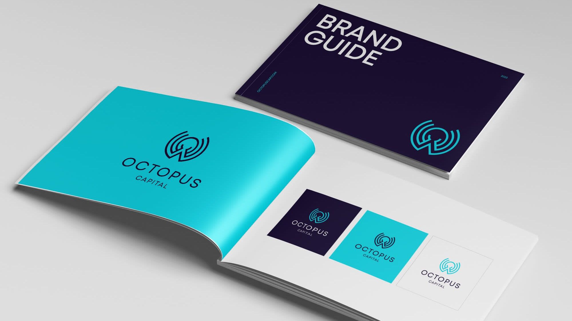 A selection of logo variations in a brand style guide