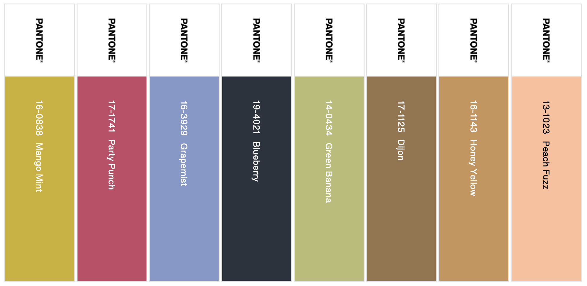 Flavor-Full 2024 Pantone Color of the Year Palette