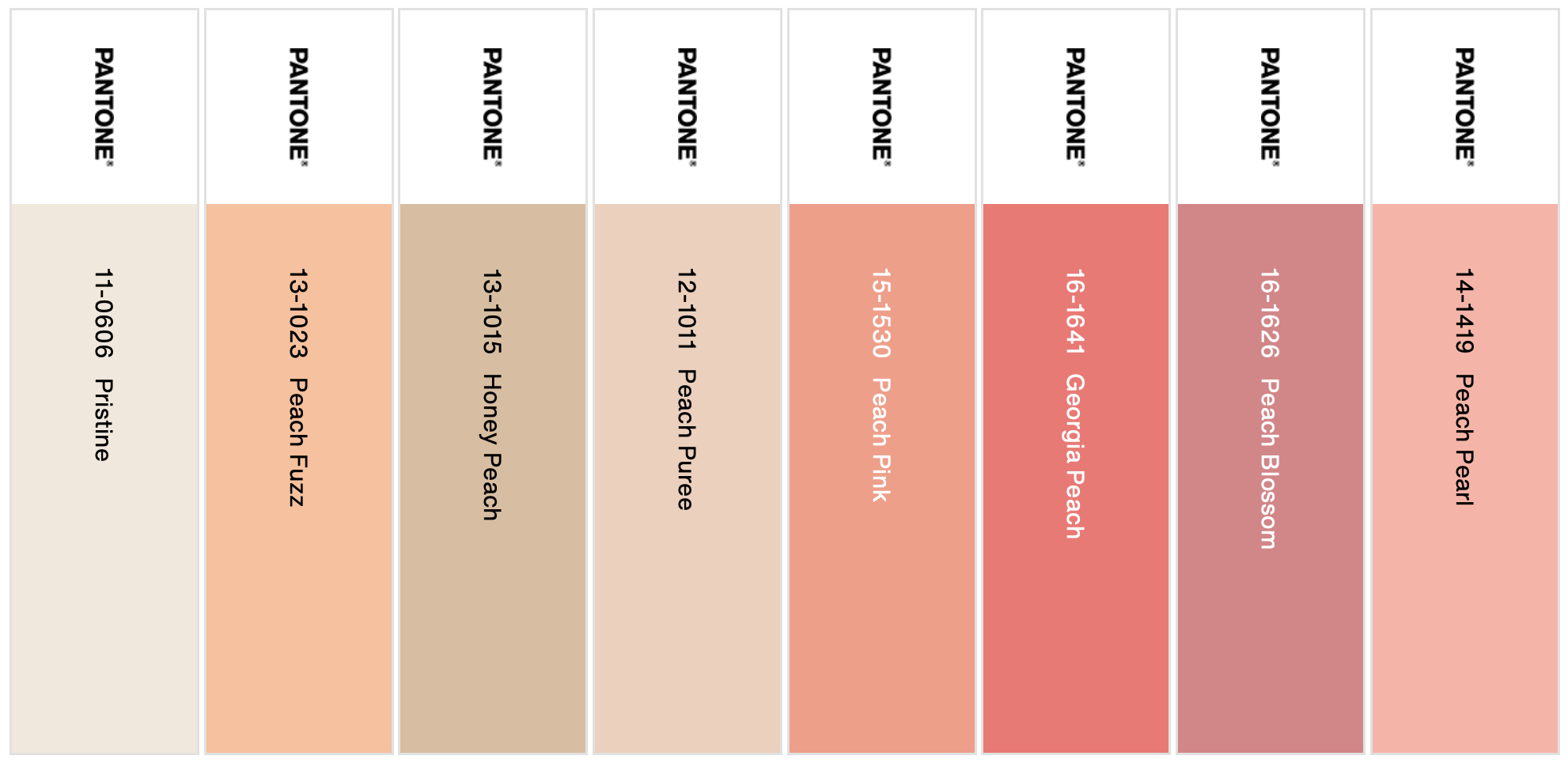 Peach Plethora 2024 Pantone Color of the Year Palette