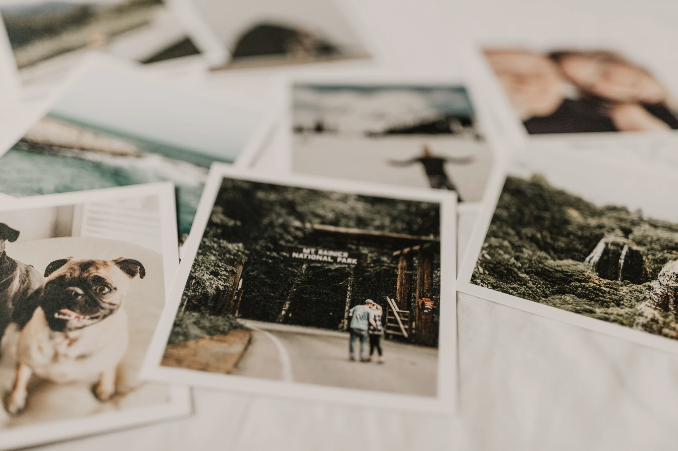 collection of printed photos