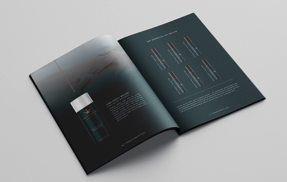 Monochromatic brochure design example