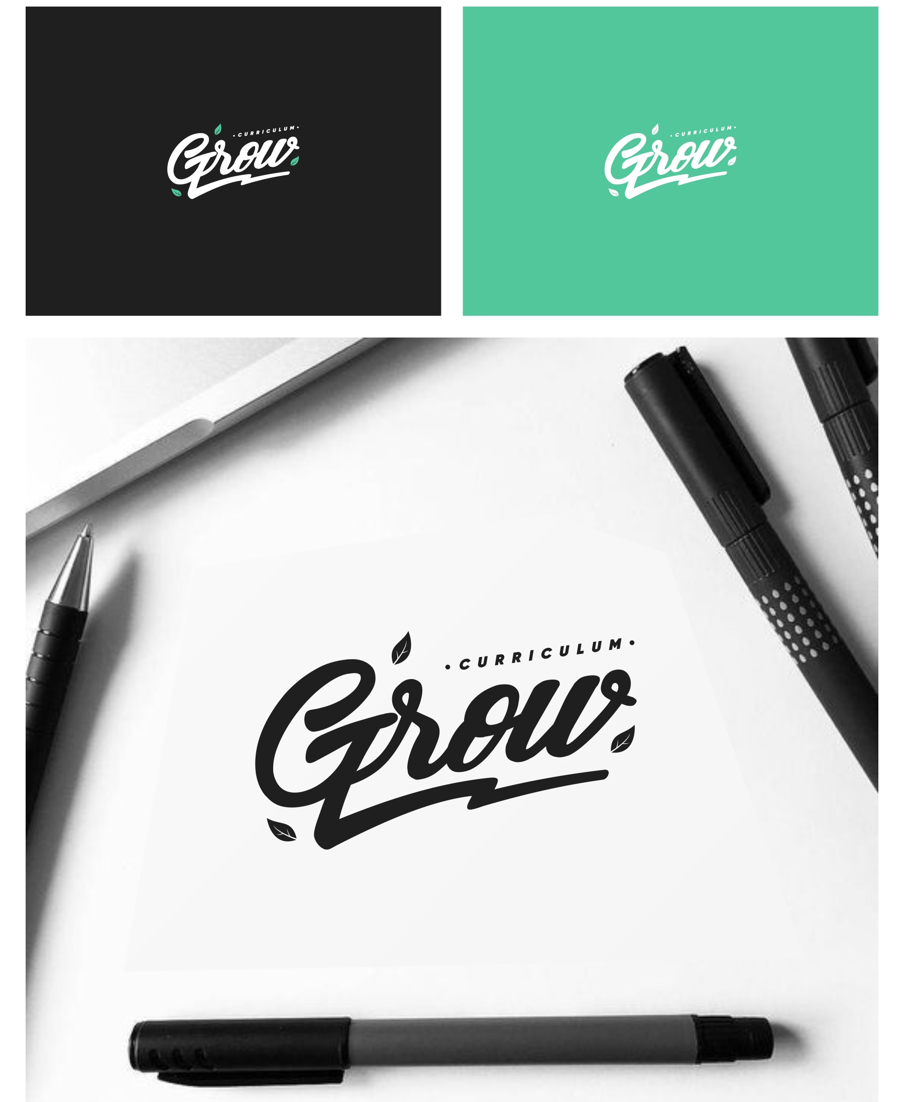 Wordmark lettering logo design for an online education brand