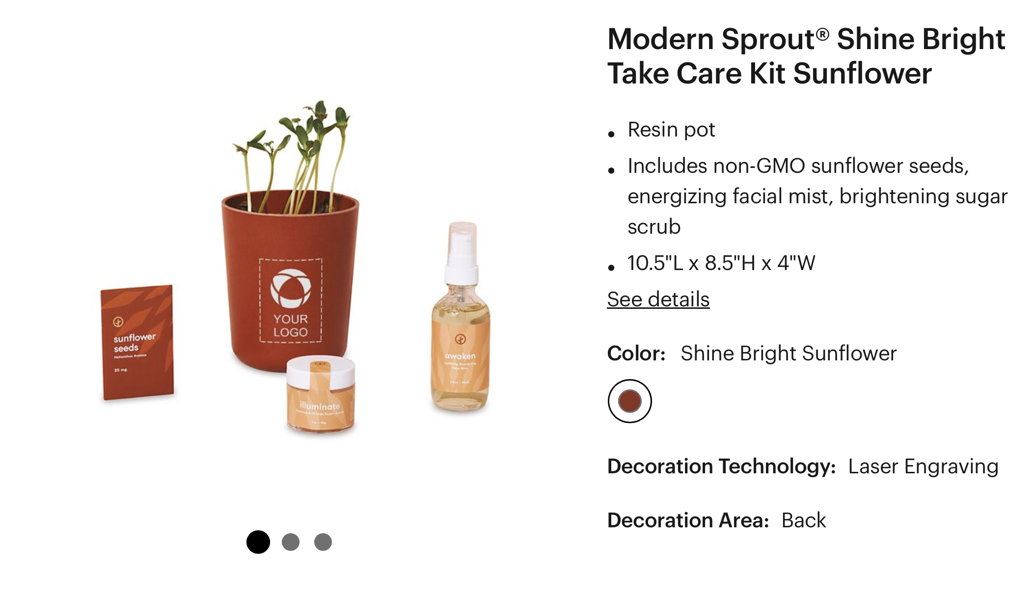 customizable sunflower plant kit