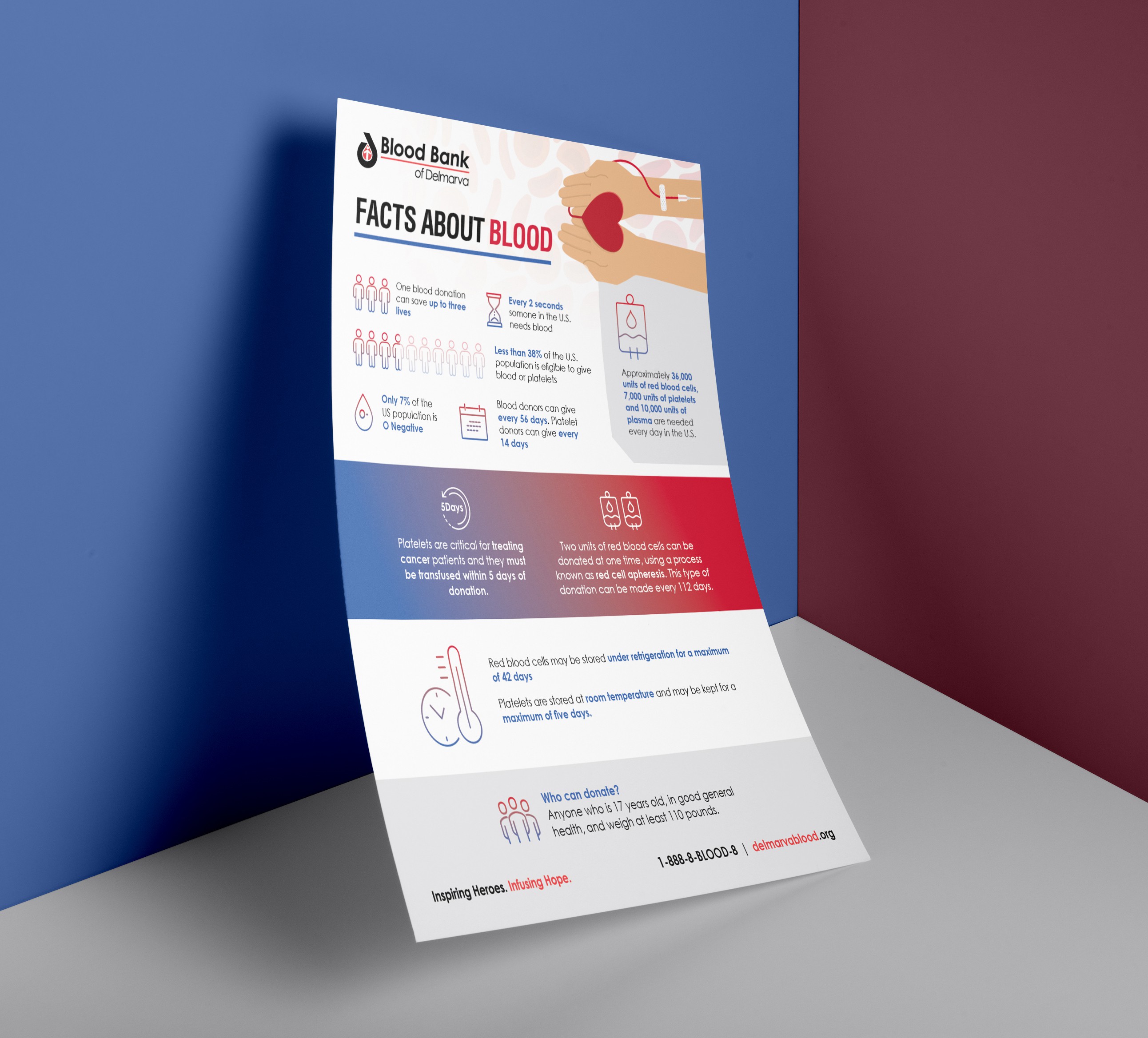 Flyer healthcare infographic example with facts about blood.