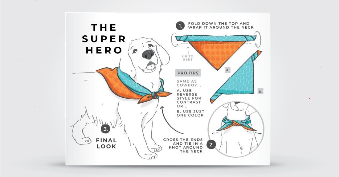 Infographic example on a bifold leaflet as a product insert.