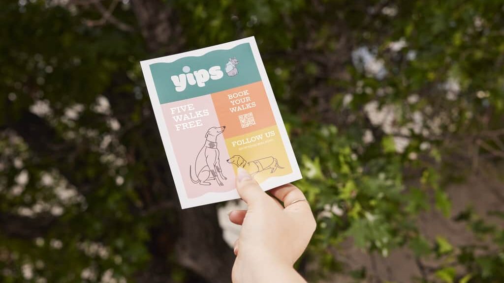 Branded dog walking flyer, print product DPI guidance