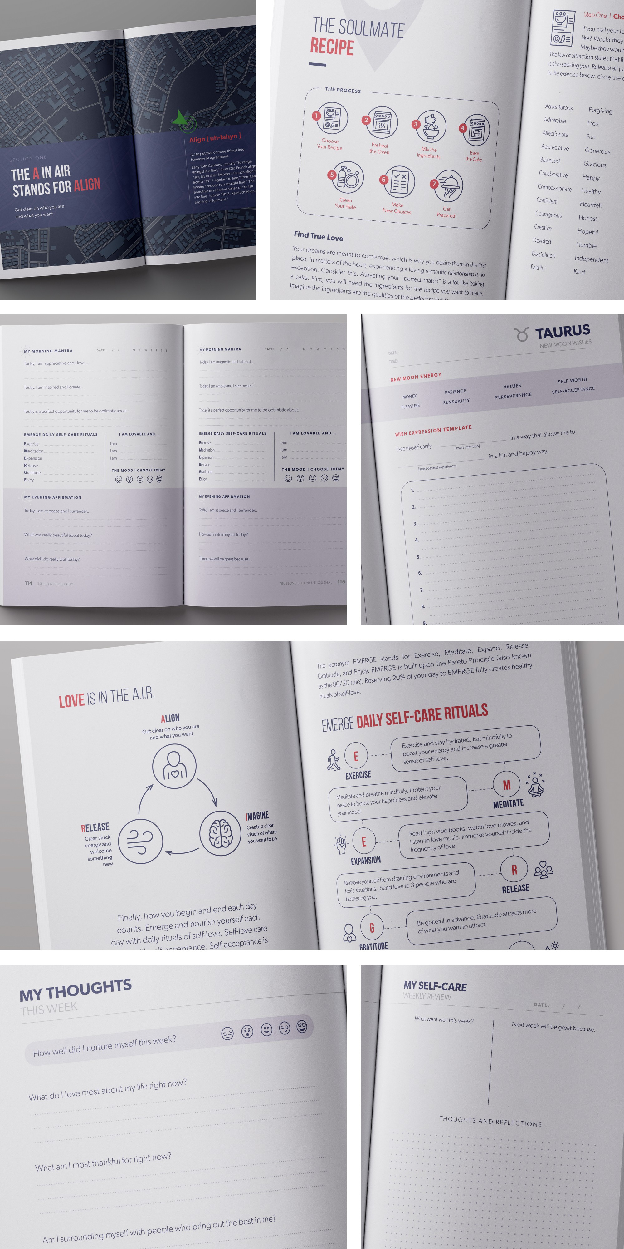 Interior layout design including various infographics for a personal journal