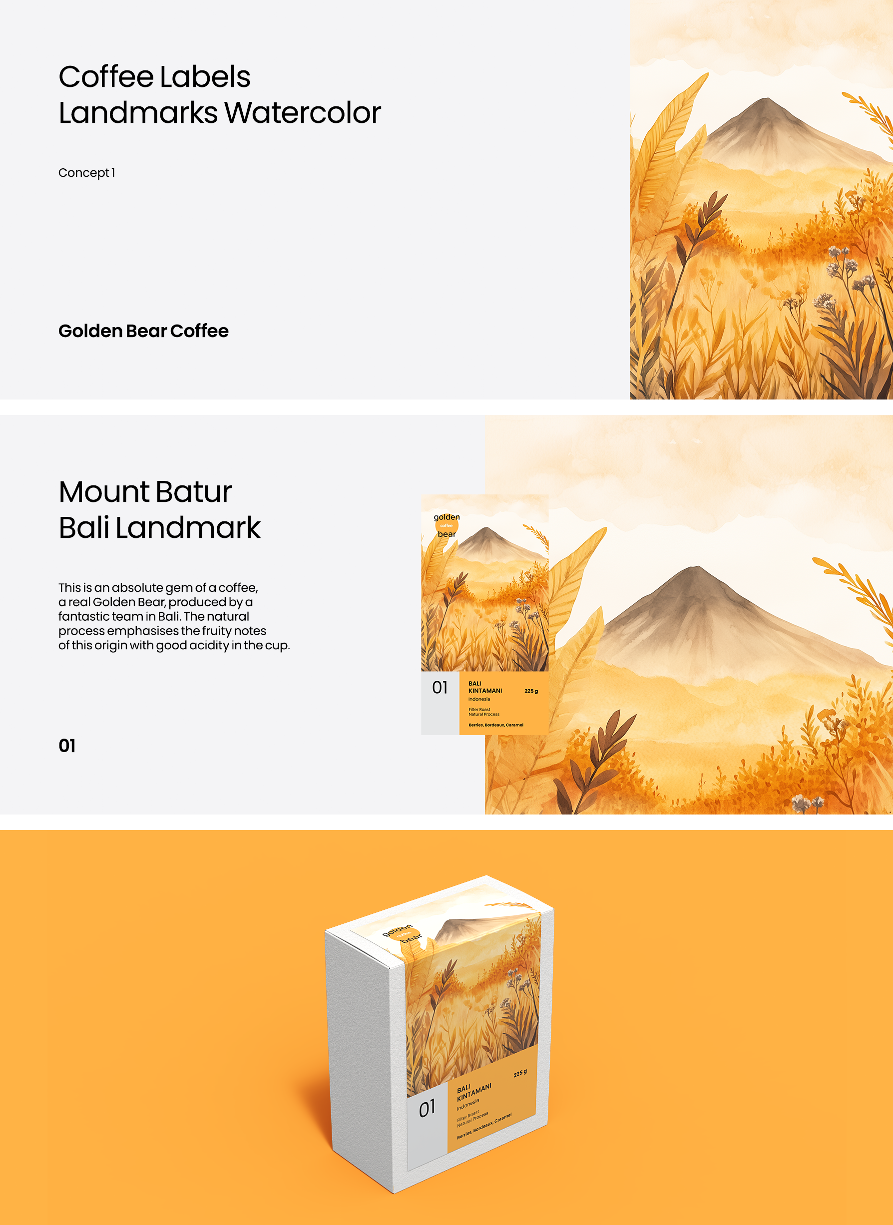 Concept page of the visual identity guide for a coffee brand