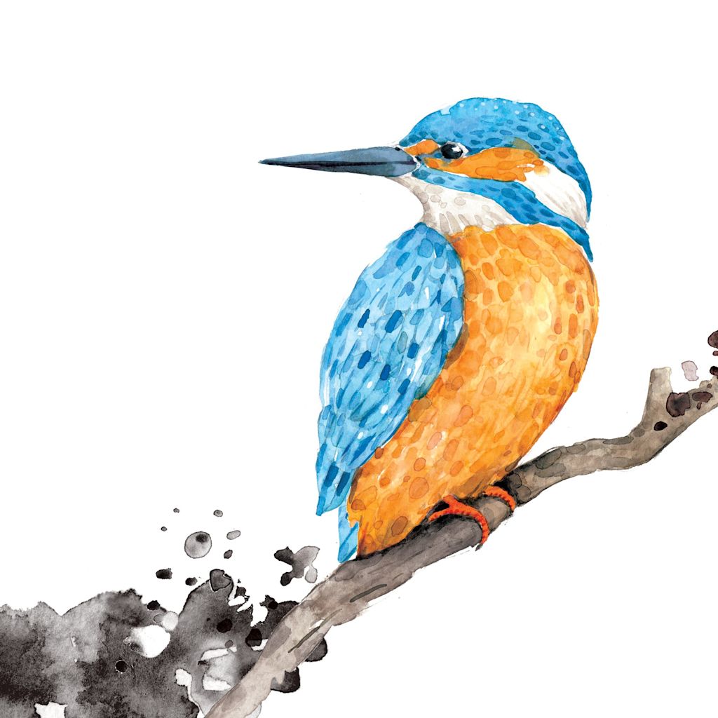 Delicate wall art featuring a hand-drawn watercolor depiction of a bird.