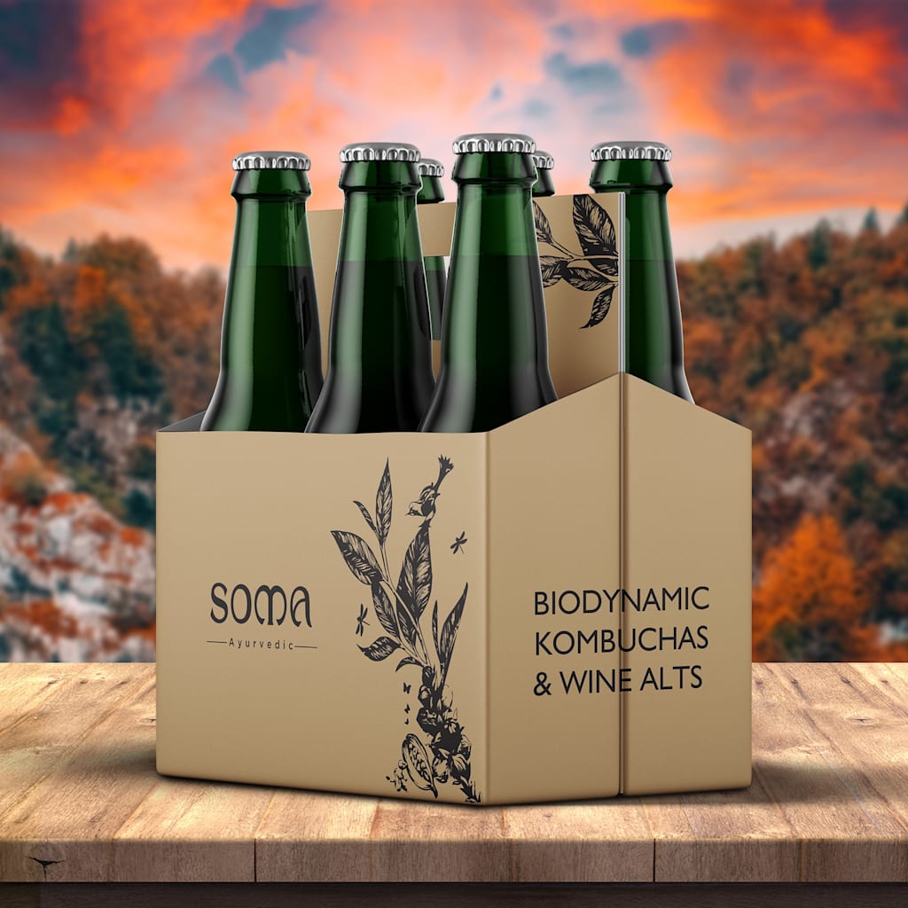 Shelf-ready packaging with built-in handles for bottle packaging