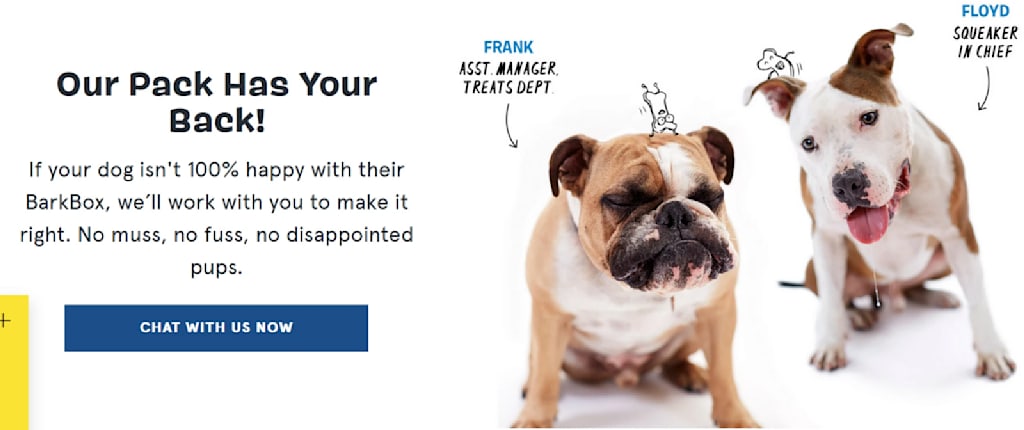 Assonance in pet subscription service brand tagline