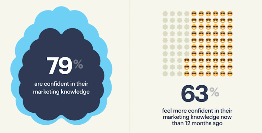 An easy to follow infographic about how confident people feel in their marketing knowledge.