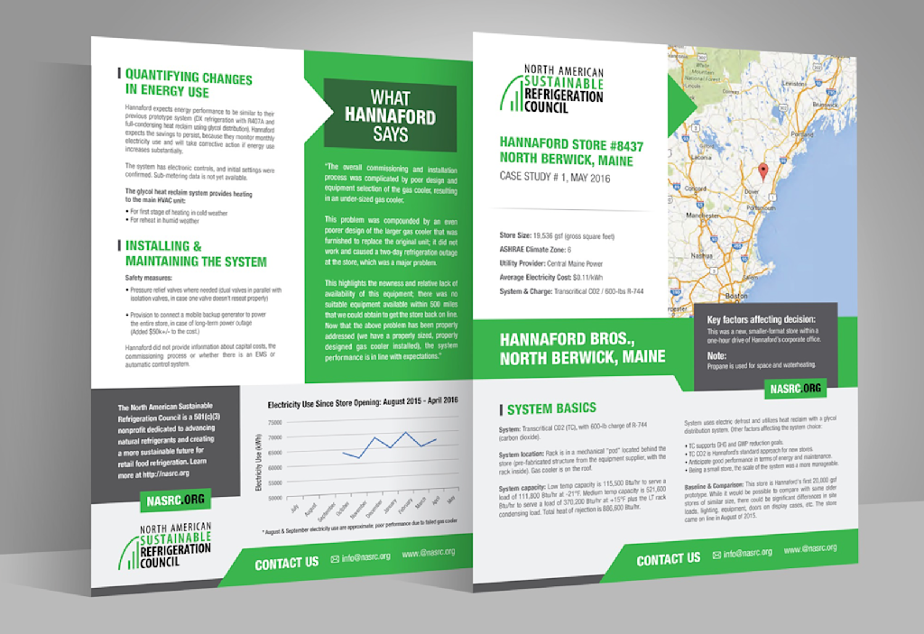 green and white case study brochure