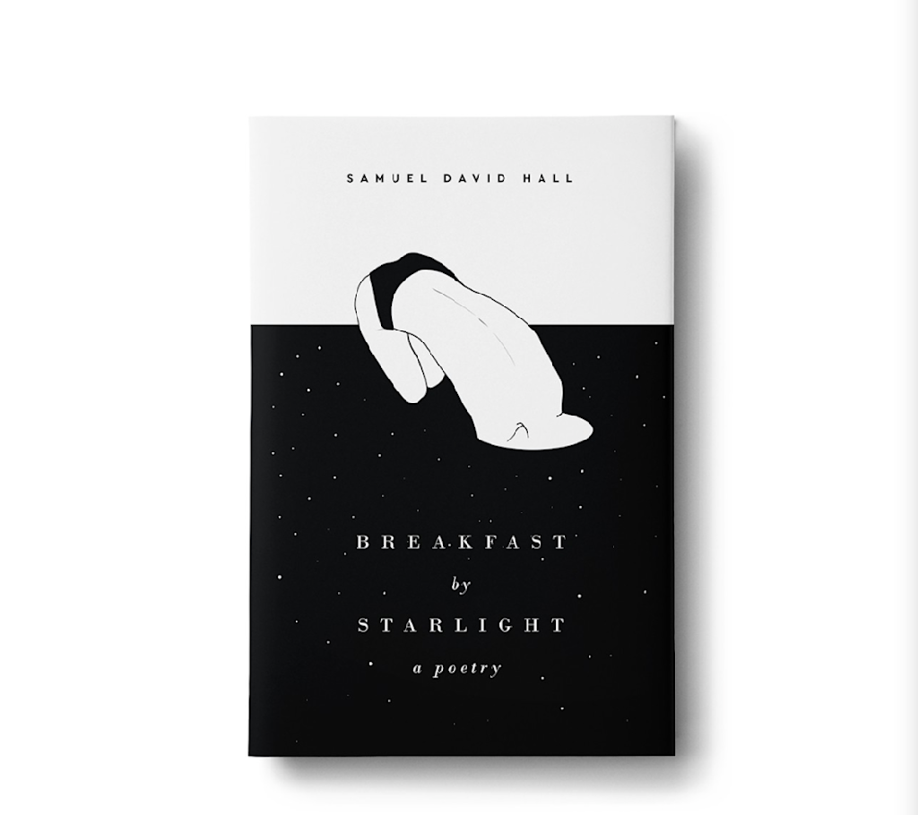 black and white book cover featuring a person falling into a hole