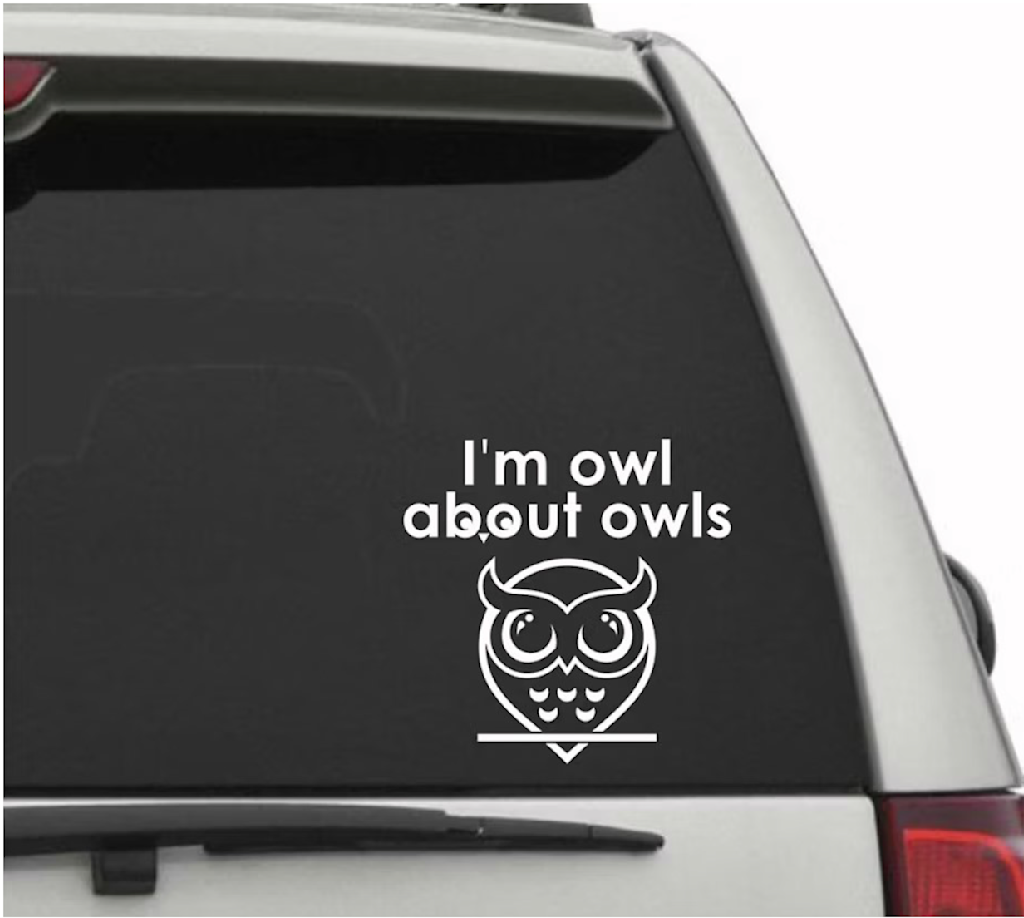 Owl bumper sticker stuck on back of car
