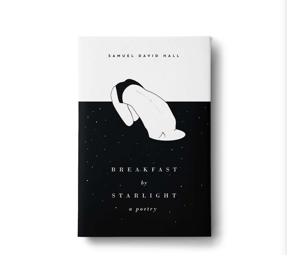 black and white book cover featuring a person falling into a hole