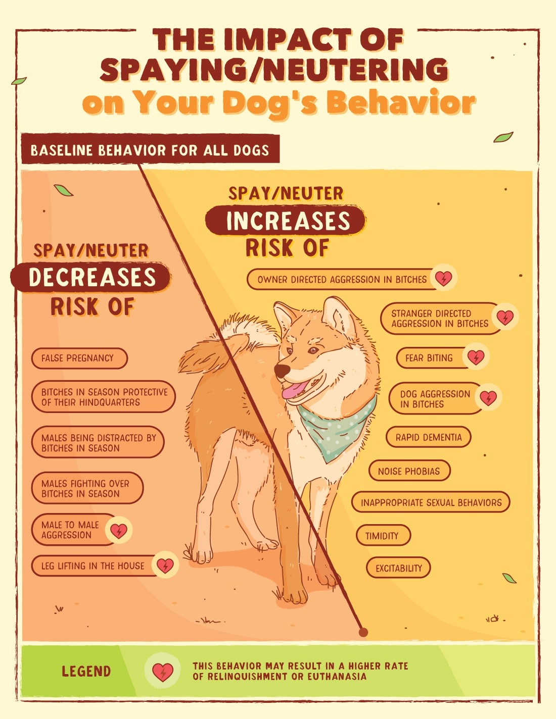 Infographic example that uses visual hierarchy to separate risks of neutering.