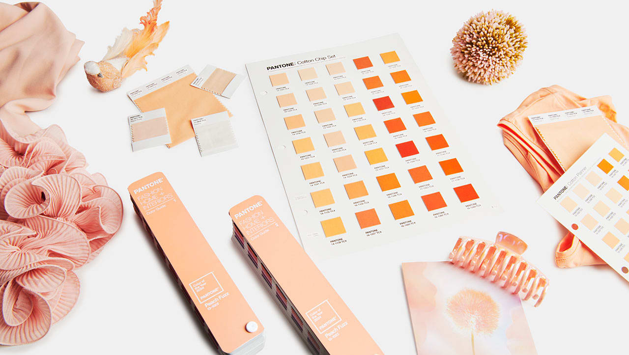 Pantone COTY 2024, Peach Fuzz