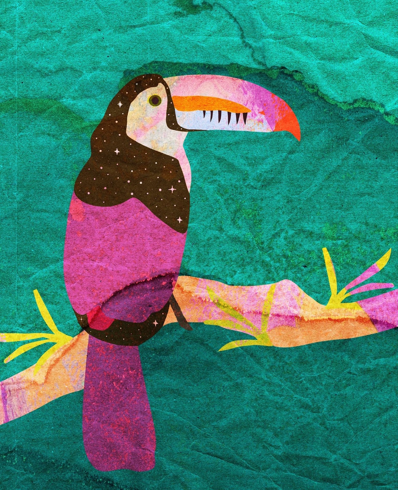 colorful toucan graphic