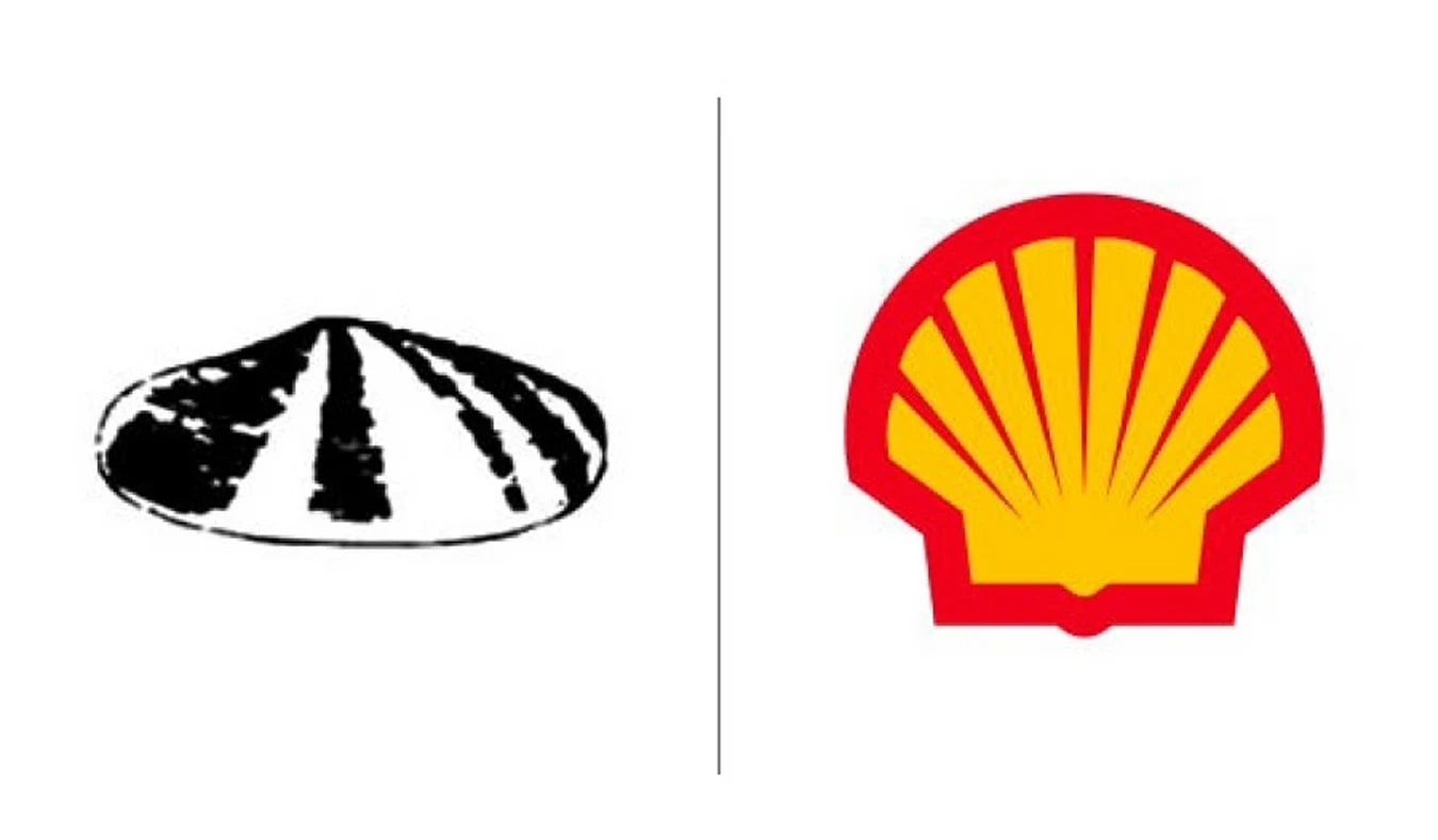 Shell logo famous brand logo evolution