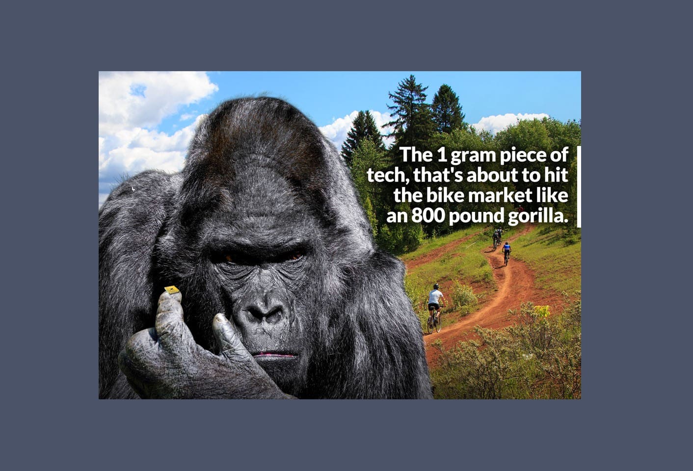 Tech-Anzeige mit einem launischen Gorilla