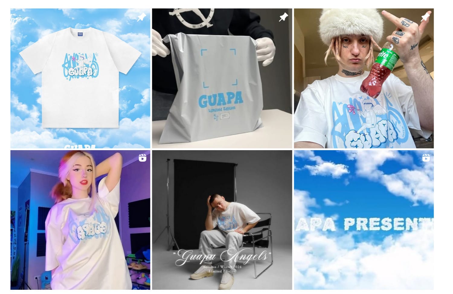 Screenshot of the Instagram feed of Guapa