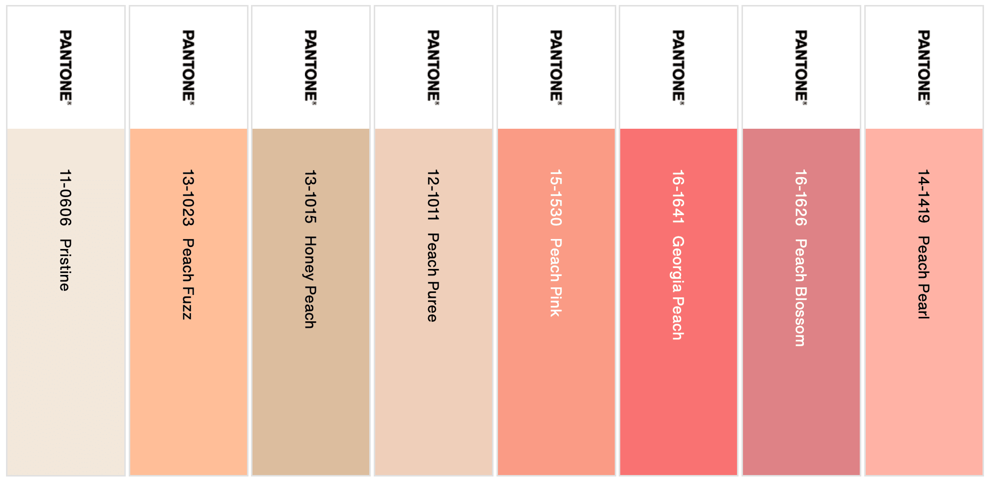 Peach Plethora 2024 Pantone Color of the Year Palette